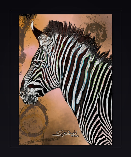 The Zebra